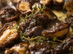 To najdroższe grzyby rosnące w Polsce. Właśnie zaczyna się sezon, a znajdziesz je w tych miejscach