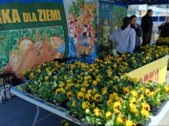 Sadzonki drzew i bratki w zamian za odpady. Wkrótce kolejna akcja Arki