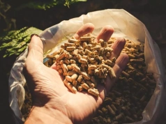 Pellet iglasty czy liściasty? Ten wybór robi realną różnicę