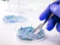 Mikroplastiku mniej, niż sądzono. Plastikowe rękawiczki i błędne liczenie próbek