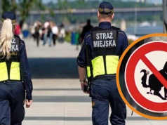Koniec taryfy ulgowej. Straż Miejska zacznie surowo karać za niesprzątanie po psach
