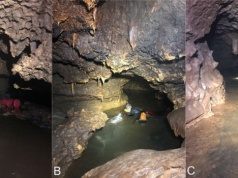 Odkryli w jaskini dziwne skamieliny. Nie powinno ich tam być