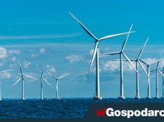 Niesłyszalne, ale bardzo szkodliwe - infradźwięki z farm wiatrowych