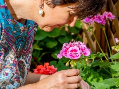 Najmodniejsze kwiaty PRL-u znów na topie. Sąsiadki nie odrywają wzroku