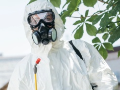 Plaga owadów zalewa Niemcy. Inwazja wymyka się spod kontroli