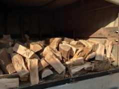 Lipa na opał. Ile trzeba zapłacić za metr przestrzenny?