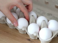 Kartony po jajkach wyrzucaj do tego kosza. Wiedziałeś o tym?