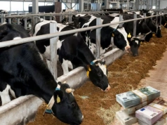 Kto naprawdę ustala ceny skupu mleka?