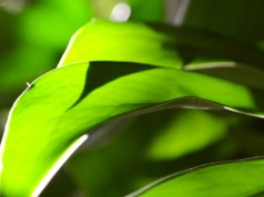 Latarnie będą niepotrzebne. Tak ma wyglądać oświetlenie miejskie w przyszłości