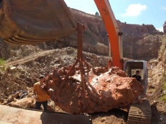 Znaleźli go w błocie. Może być wart nawet 7 mln dolarów