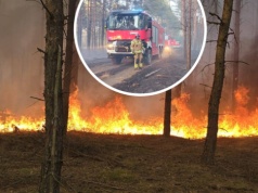 Ogień rozszalał się w Wielkopolsce. Drony i samoloty na pomoc