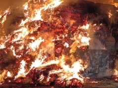 Kto podpalił stertę słomy w OHZ Kamieniec Ząbkowicki? 10 tysięcy złotych nagrody za wskazanie podpalacza