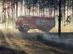 Wielki pożar w Wielkoposce. Spłonęły hektary