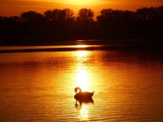 Niedziela pod znakiem zmiennej pogody. Burze, wiatr i przejaśnienia w całym kraju