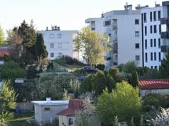 Działki ROD znikają w kilka godzin. Oto koszty i formalności krok po kroku