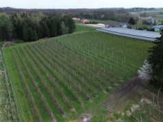 Dopłaty bezpośrednie: już 17,4 mld zł na kontach rolników