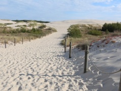 Ruchome wydmy nad Bałtykiem. Co je wyróżnia i kiedy najlepiej je zobaczyć