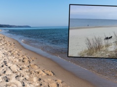 Nietypowe obrazki znad Bałtyku. W Wielkanoc rozstawili sobie na plaży leżaki