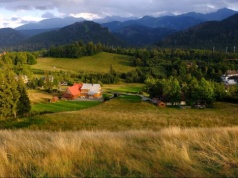 Pięć domów to "poidełka dla koni"? Oskarżenie za samowolę w Zakopanem