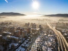 Miasto bez ptaków? Mieszkańcy bronią siedliska