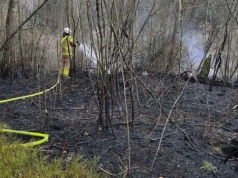 Pożar lasu w Łomnej-Nowym Ratyńcu