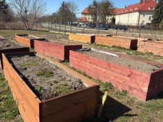 Zasiej, pielęgnuj, a potem ciesz się plonami