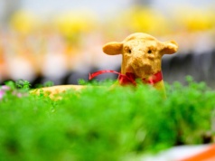 Wielkanoc na świecie: nietypowe zwyczaje i tradycje z Ukrainy