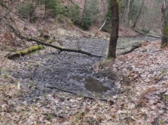 Powrót nad Jaworznik - wąwóz, źródło i ślady zapomnianej rzeki