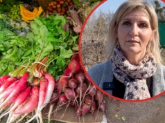 80 gatunków warzyw i sprzedaż bez pośredników. „Wszystko, co wyprodukuję, sprzedaję”