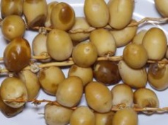 Naturalna miotła dla jelit. Zjedz trzy po wielkanocnej uczcie, a organizm ci podziękuje