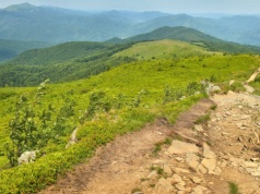 Jeden z najpiękniejszych szlaków w Polsce. Znajdziesz go w Bieszczadach