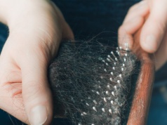 Widzisz taki meszek na szczotce do włosów? To wcale nie kurz