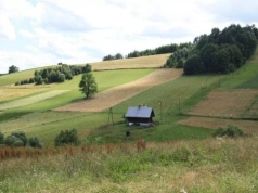 Ceny ziemi rolnej w górę. Sprawdź, gdzie hektar kosztuje najwięcej