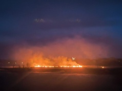 Wysyp pożarów traw w całym regionie. Płoną duże obszary, setki strażaków w akcji