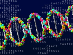 Nieznana wcześniej linia genetyczna przetrwała tam tysiące lat. Istniała do końca epoki lodowej