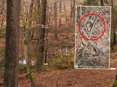 Leśnicy pokazali, co kryło się w zaroślach. "Uważnie patrzmy pod nogi"