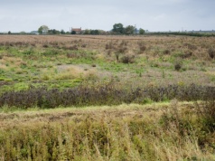 Przyszedł na komisariat i przekazał tragiczne wieści. Potwierdziło się