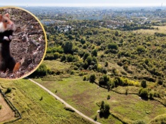 Płoną Górki Czechowskie. To unikalne siedlisko rzadkiego polskiego ssaka
