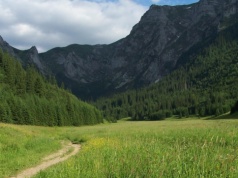 Wielka Polana Małołącka w Tatrach. Piękna i krótka trasa dla początkujących