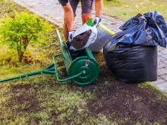 Zanim dosiejesz trawę, zrób to. Trawnik odbije szybciej i bez łysych placków