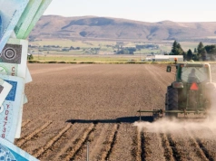 Koniec dzierżawy a dopłaty. Co zrobić, żeby ich nie stracić?