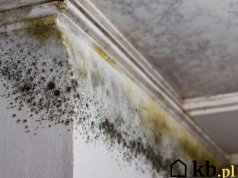 Ocieplił dom i niedługo potem pojawiła się pleśń. Wszystko przez błąd wykonawcy