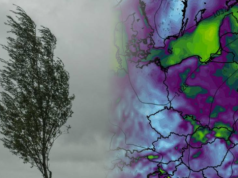 Wichura nawet do 95 km/h. Ostrzeżenia IMGW i alert RCB