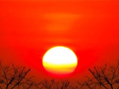 Ziemia nagrzała się o 6 stopni i lasy zamarły. 100 tys. lat katastrofy