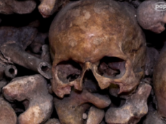 Paryskie Katakumby ponownie otwierają się po renowacji