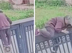 Babcia‑Ninja z Chin zadziwiła świat. 92‑latka przeskoczyła ogrodzenie i... uciekła