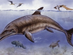 Ni to ryba, ni jaszczur. Niezwykłe znalezisko na Kubie. Takiego nie było