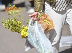 Wielkanocny jazz – jajko i majonez