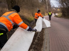 Juszkowo na ratunek żabom. Płotki przy drogach mają ograniczyć ich śmiertelność podczas migracji