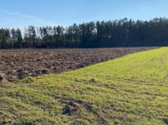 Który ekoschemat rolnicy wybierają najczęściej w kampanii dopłat 2026?